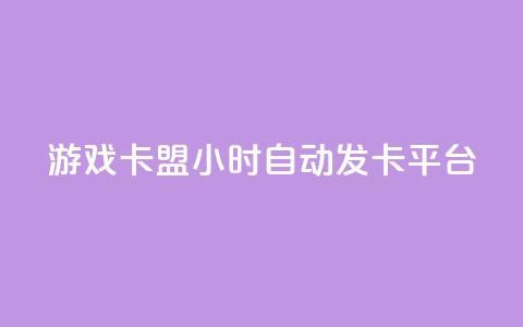 游戏卡盟24小时自动发卡平台 - 24小时自动发卡	，游戏卡盟平台全新升级！  第1张