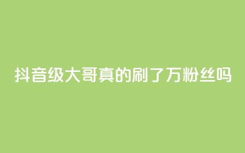 抖音60级大哥：真的刷了2000万粉丝吗？  第1张