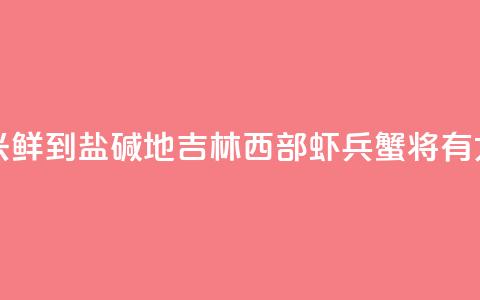 （乡村行·看振兴）“鲜	”到盐碱地 吉林西部“虾兵蟹将”有大作为  第1张