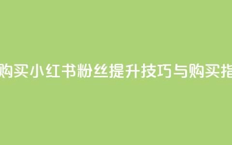 小红书500粉购买 - 小红书500粉丝提升技巧与购买指南!  第1张