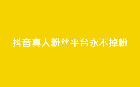 抖音真人粉丝平台 永不掉粉 - 增加社交影响力，稳定粉丝数量营销平台~  第1张