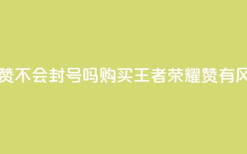 王者荣耀买赞不会封号吗 - 购买王者荣耀赞有风险吗?! 第1张 王者荣耀买赞不会封号吗 - 购买王者荣耀赞有风险吗?! 第1张