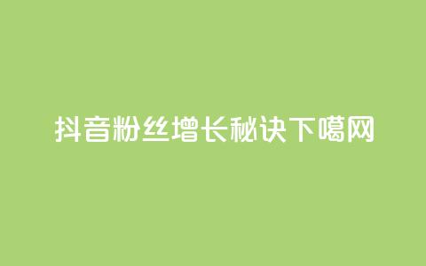 抖音粉丝增长秘诀  第1张