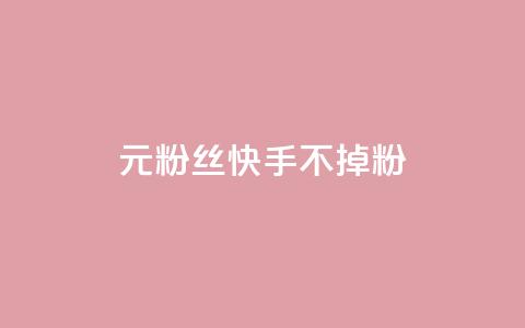1元3000粉丝快手不掉粉,抖音点赞1元100个关注 - 王者人气值网站最便宜 24小时自助下单商城  第1张