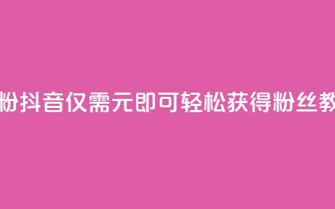 抖音1元刷1000粉 - 抖音仅需1元即可轻松获得1000粉丝教程。  第1张