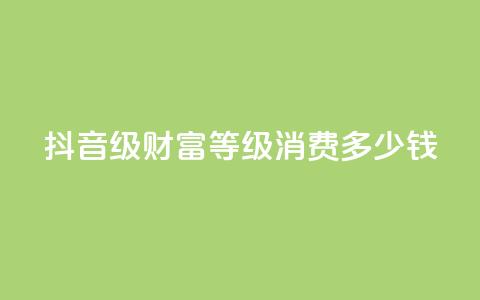 抖音24级财富等级消费多少钱 - 抖音财富等级24级消费金额是多少?! 第1张 抖音24级财富等级消费多少钱 - 抖音财富等级24级消费金额是多少?! 第1张
