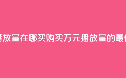 1块钱1w播放量在哪买(“购买1万元播放量的最佳选择”)  第1张
