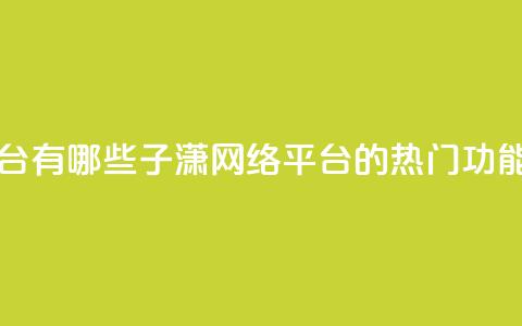 子潇网络平台有哪些 - 子潇网络平台的热门功能介绍~  第1张