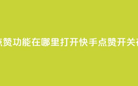 快手点赞功能在哪里打开(快手点赞开关在哪打?) 第1张 快手点赞功能在哪里打开(快手点赞开关在哪打?) 第1张