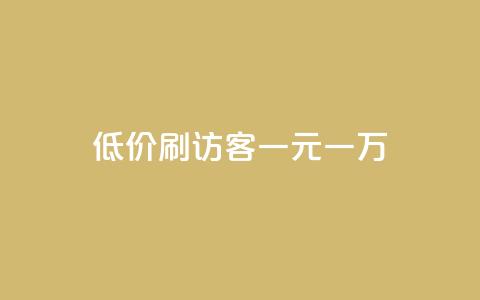 低价刷访客一元一万 - 快手一分钱一万个播放  第1张