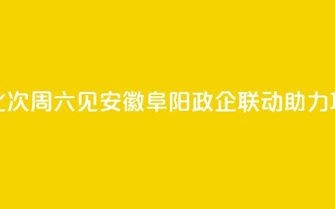 （身边的变化）94次“周六见	”	，安徽阜阳政企联动助力项目“加速跑”  第1张