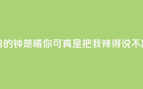 夏日的钟楚曦:你可真是把我辣得说不出话 第1张 夏日的钟楚曦:你可真是把我辣得说不出话 第1张