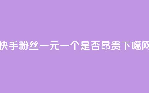 快手粉丝一元一个是否昂贵? 第1张 快手粉丝一元一个是否昂贵? 第1张