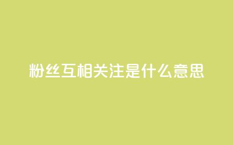 粉丝互相关注是什么意思,快手粉丝和关注的区别在哪里 - QQ点赞自助服务平台 qq资料免费十万赞 第1张 粉丝互相关注是什么意思,快手粉丝和关注的区别在哪里 - QQ点赞自助服务平台 qq资料免费十万赞 第1张
