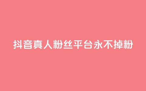 抖音真人粉丝平台 永不掉粉,qq云商城网站 - 拼多多帮砍助力网站便宜 暑假赚钱项目拼多多助力项目  第1张
