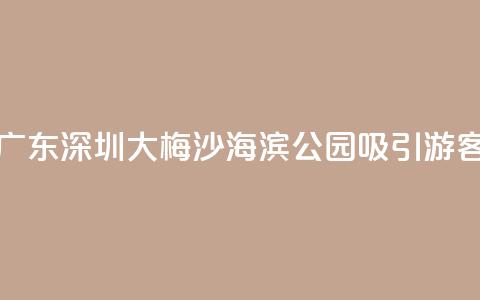 广东深圳：大梅沙海滨公园吸引游客  第1张