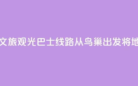 北京开通新文旅观光巴士线路 从鸟巢出发将地标“串珠成链	”  第1张