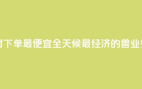 块兽业务平台24小时下单最便宜 - 全天候最经济的兽业务平台下单~ 第1张 块兽业务平台24小时下单最便宜 - 全天候最经济的兽业务平台下单~ 第1张