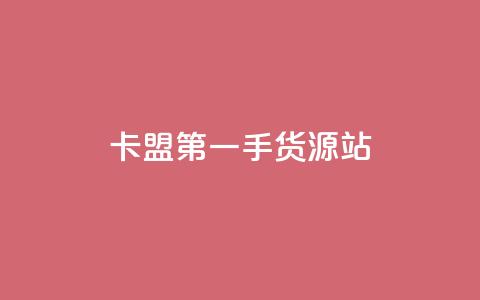 卡盟第一手货源站 - 发卡平台  第1张