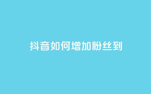抖音如何增加粉丝到1000 - 抖音快速积累粉丝的有效方法揭秘！  第1张