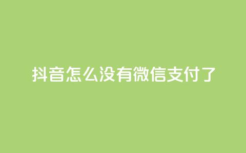 抖音怎么没有微信支付了 - 抖音为何取消微信支付功能的原因分析!  第1张