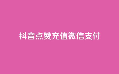 抖音点赞充值微信支付 - 抖音点赞如何通过微信支付进行充值~ 第1张 抖音点赞充值微信支付 - 抖音点赞如何通过微信支付进行充值~ 第1张