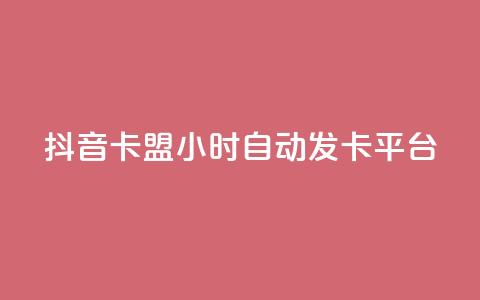 抖音卡盟24小时自动发卡平台,颜夕卡盟 - 全网辅助货源站 快手点赞评论软件微信支付  第1张