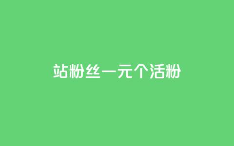 b站粉丝一元1000个活粉 - B站一元可以获得1000个真实活跃粉丝	，你绝对不想错过！~  第1张