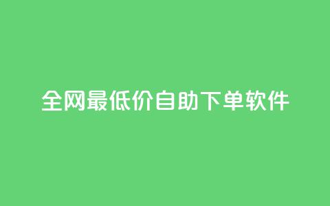 全网最低价自助下单软件,王者人气自助 - 抖音如何看点赞评论 快手24小时业务平台  第1张