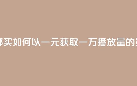 1块钱1w播放量在哪买 - 如何以一元获取一万播放量的渠道揭秘! 第1张 1块钱1w播放量在哪买 - 如何以一元获取一万播放量的渠道揭秘! 第1张