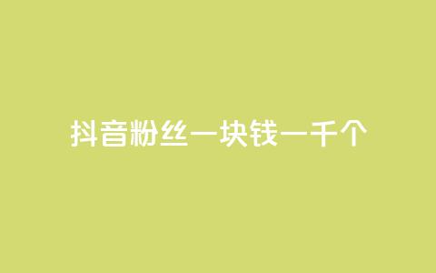 抖音粉丝一块钱一千个 - 抖音粉丝仅需一元获取千人关注秘诀揭秘！  第1张