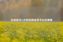 抖音快手24小时自助业务平台在哪里