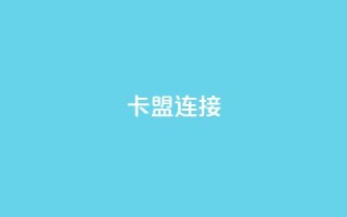 卡盟连接 - 卡盟链接的新选择~
