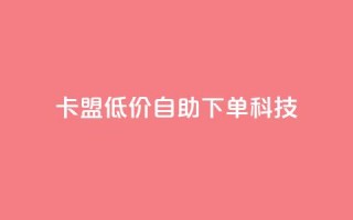卡盟低价自助下单科技 - 低价自助服务助力卡盟轻松下单!