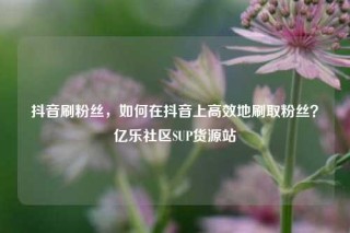 抖音刷粉丝，如何在抖音上高效地刷取粉丝？亿乐社区SUP货源站