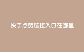快手点赞链接入口在哪里,快手24小时购买平台 - 抖赞平台是真实的吗 - 老八秒赞网