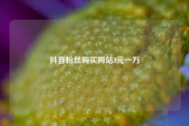 抖音粉丝购买网站3元一万
