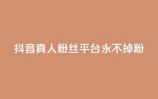 抖音真人粉丝平台 永不掉粉,qq空间偷看工具2024 - 抖音点赞清理器 - 快手24小时业务平台