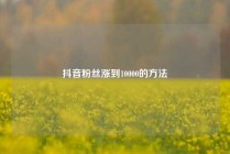 抖音粉丝涨到10000的方法
