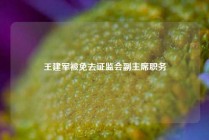 王建军被免去证监会副主席职务