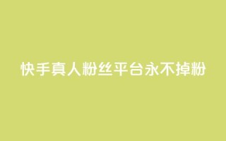 快手真人粉丝平台 永不掉粉,qq主页怎么获得大量赞 - qq刷空间说说免费卡盟 - qq免费互赞游戏