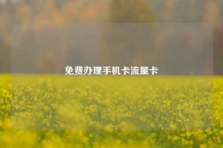 免费办理手机卡流量卡