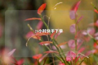 24小时快手下单