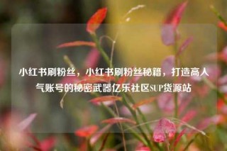 小红书刷粉丝，小红书刷粉丝秘籍，打造高人气账号的秘密武器亿乐社区SUP货源站
