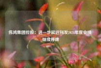 伟鸿集团控股：进一步延迟刊发2024年度业绩 继续停牌