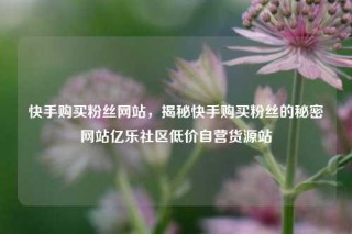 快手购买粉丝网站，揭秘快手购买粉丝的秘密网站亿乐社区低价自营货源站