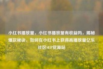 小红书播放量，小红书播放量有收益吗，揭秘爆款秘诀，如何在小红书上获得高播放量亿乐社区SUP货源站