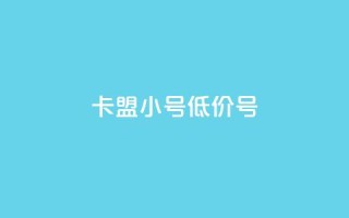 卡盟qq小号低价号 - 购买低价QQ小号，找卡盟助手~