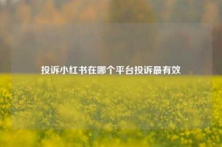 投诉小红书在哪个平台投诉最有效