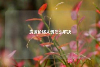 货源价格太贵怎么解决
